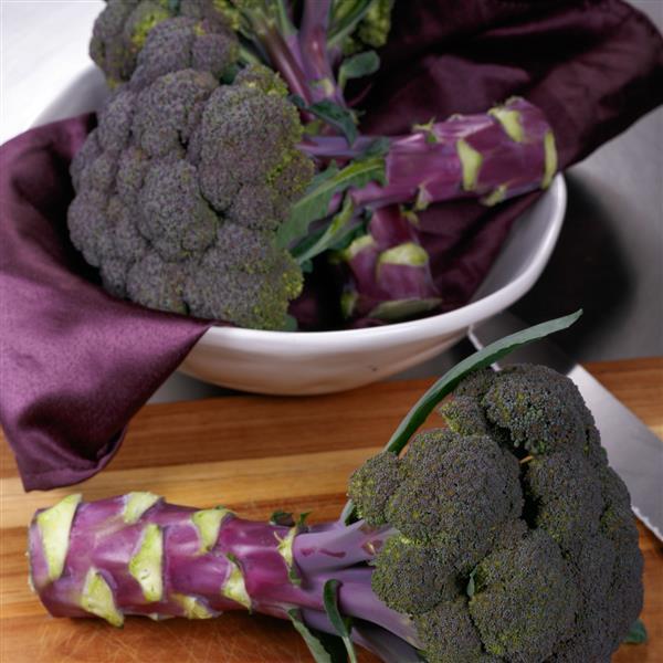 Purple Magic Broccoli Seeds – 50 F1 Purple-Stem Vegetable Seeds