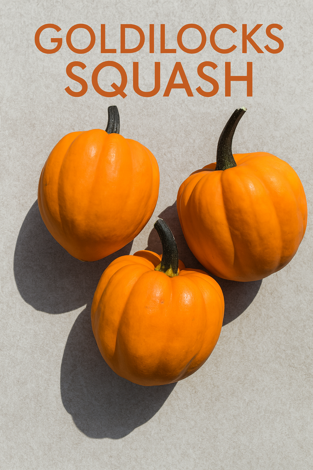 25 Goldilocks Squash Seeds Bright Orange Acorn Squash Vegetable Garden Seeds