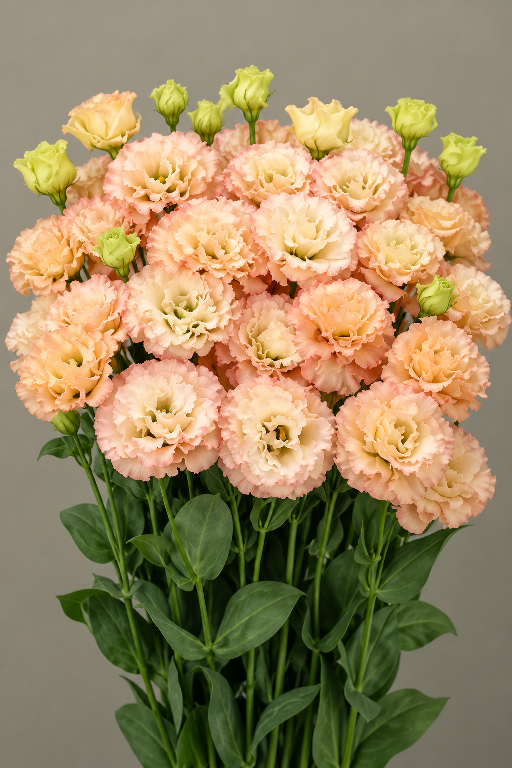 Bouquet of Celeb 2 Apricot lisianthus with double peach-apricot blooms, creamy centers, green buds and leafy stems