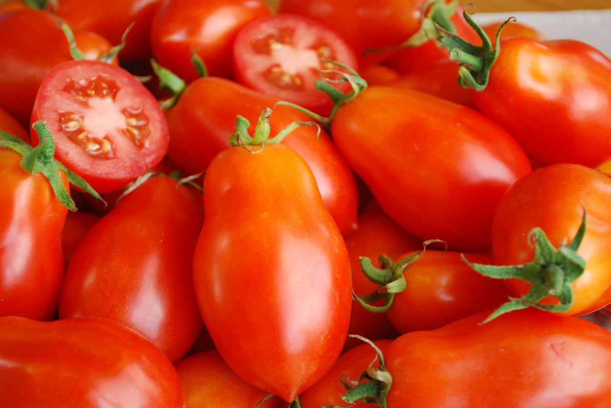 Salsa Garden Seed Kit – 5 Vegetable & Herb Seed Packets, 350 Seeds