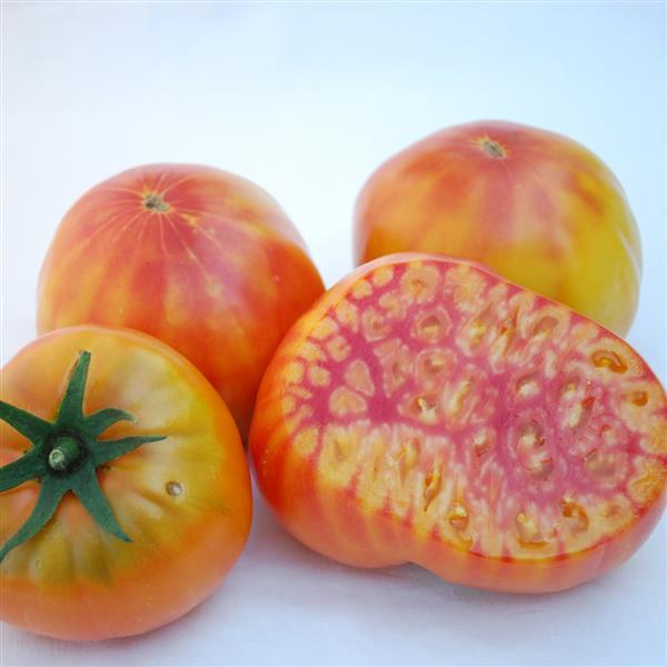 Mr. Stripey Tomato Seeds – 50 Heirloom Beefsteak Tomato Seeds