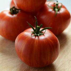 50 Tomato Seeds Tomato Skyreacher