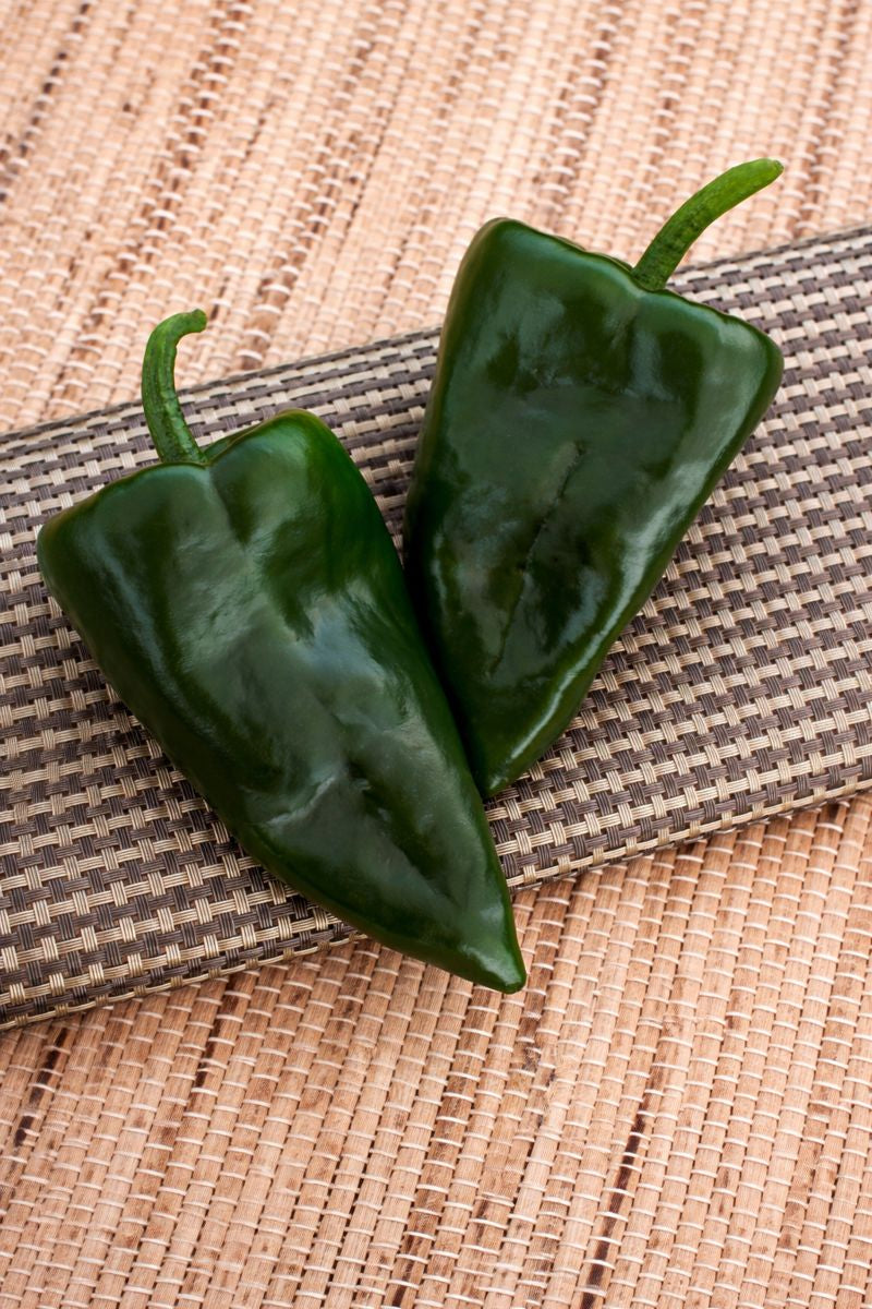 Trident Poblano Pepper Seeds 50 F1 Hybrid Ancho Pepper Garden Seeds