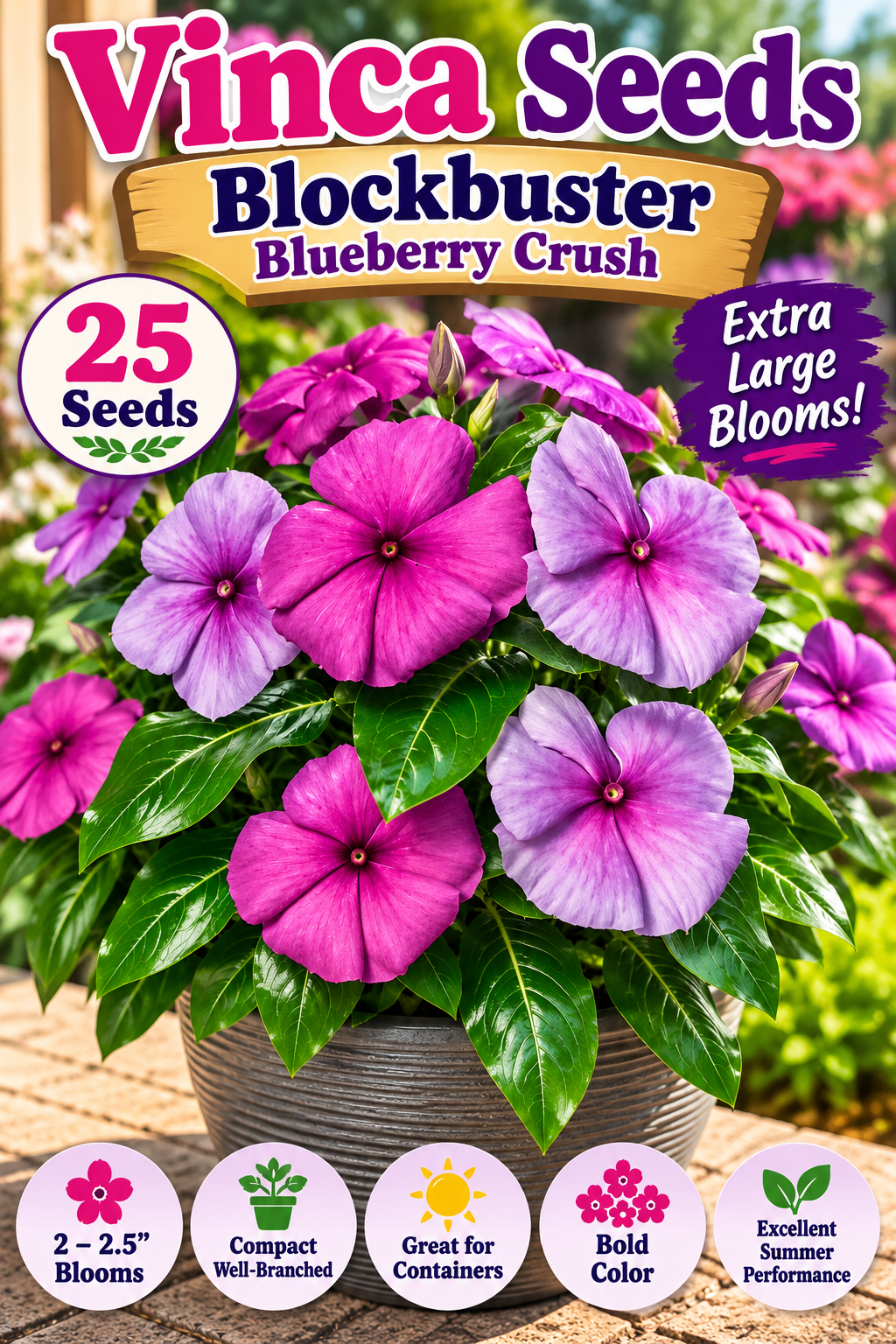 25 Vinca Seeds Blockbuster Blueberry Crush Flower Seeds