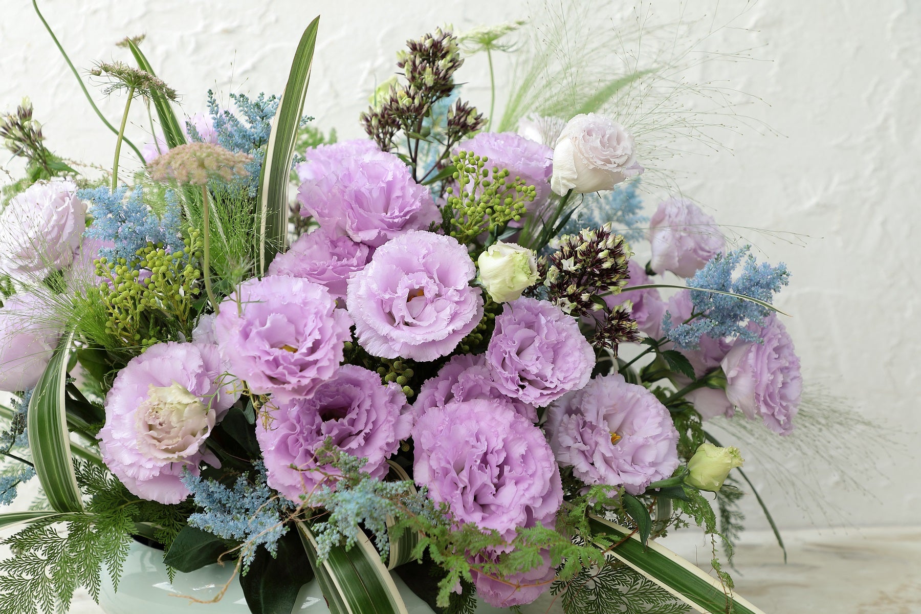 lavender lisianthus flower Cut Flower Seeds 25 Pelleted Lisianthus Seeds Voyage Lavender