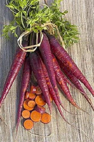 500 Seeds Purple Carrot Vegetable Seeds