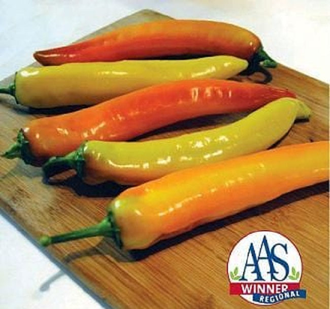 Pepper Seeds 25 Pepper Inferno Seeds F1 Hybrid Chili Pepper
