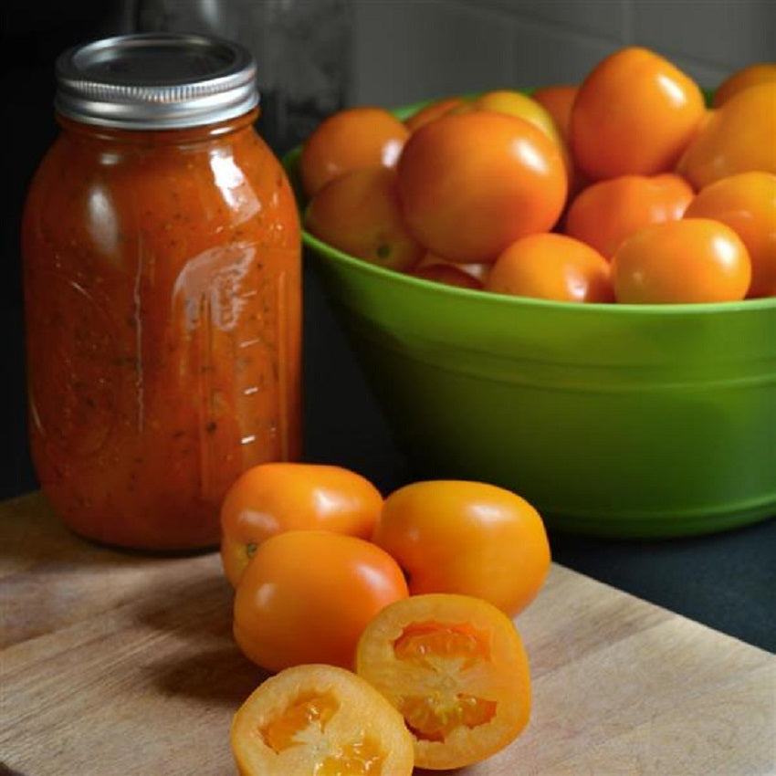 Tomato Sunrise Sauce 25 Seeds Paste Tomato Seeds