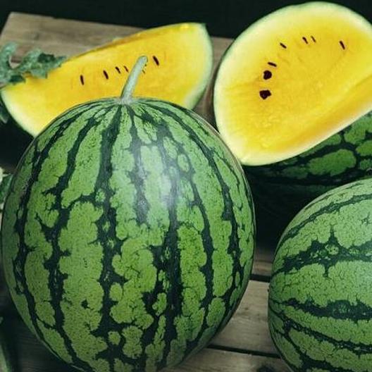 Baby Doll Watermelon Seeds 15 thru 250 Seeds Watermelon F1 Hybrid Watermelon