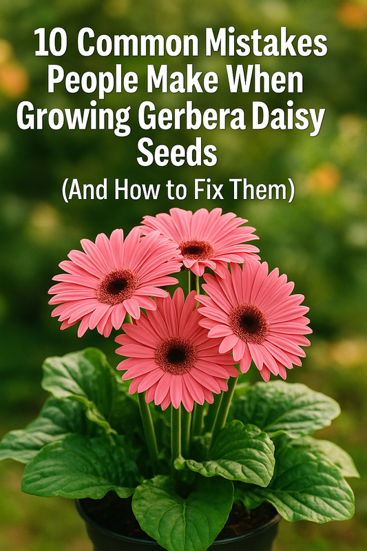 image showing Gerbera Daisy plants with the text “10 Common Mistakes Growing Gerbera Daisy Seeds (Fixes Inside)” to help gardeners avoid seed-starting problems