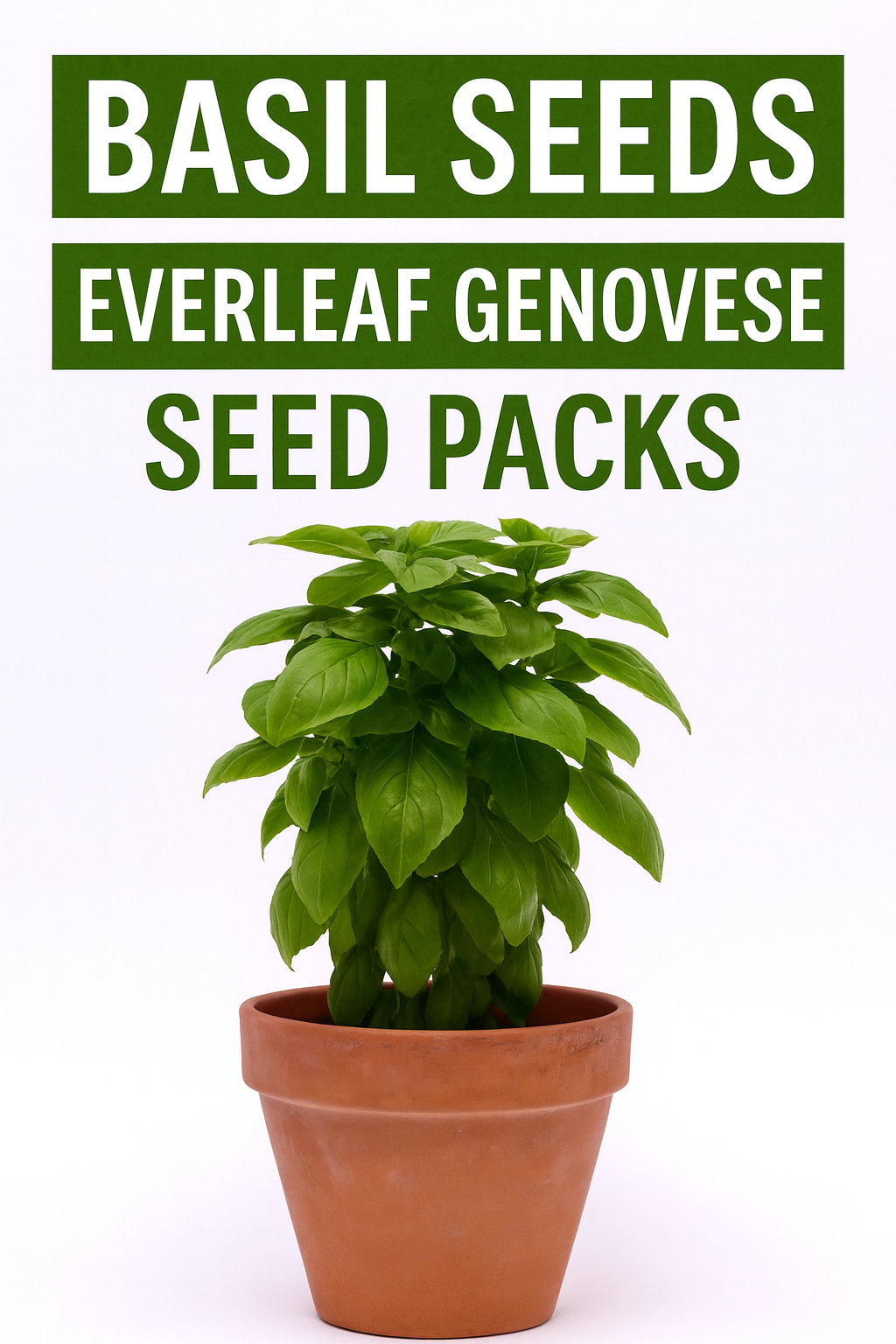 Everleaf Genovese Basil – Premium Basil Seeds for Bulk Growers ...