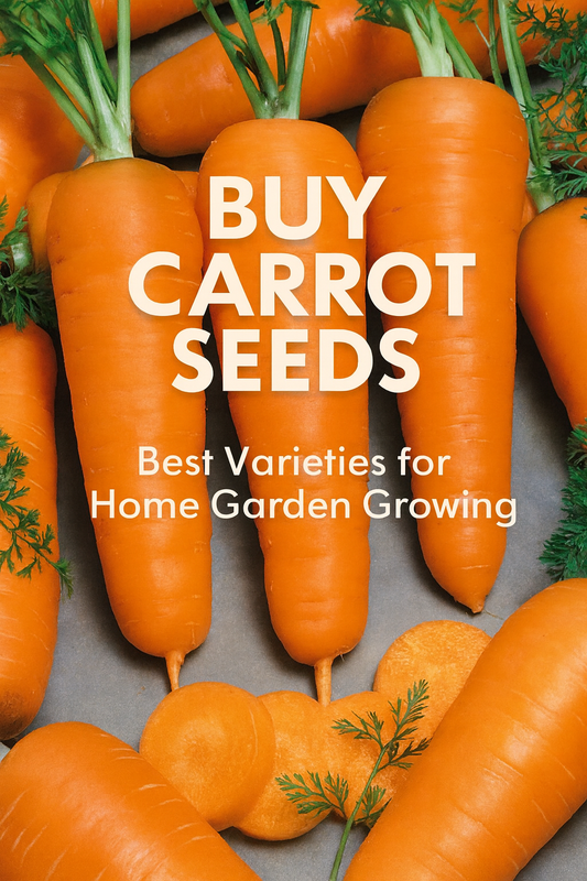 Fresh harvested carrots – best carrot seeds to grow in raised bed and backyard gardens