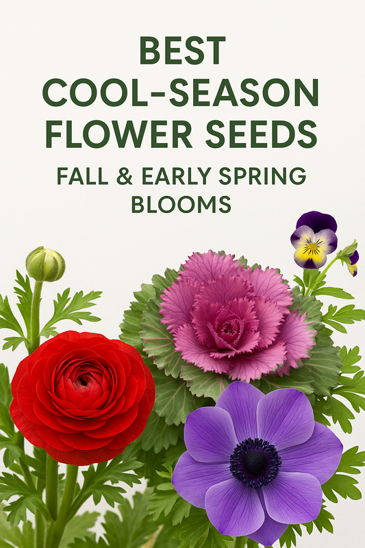 Vibrant cool-season flowers — including Ranunculus, Anemone, Kale, and Pansies — ideal for fall and early spring gardens with long-lasting color.