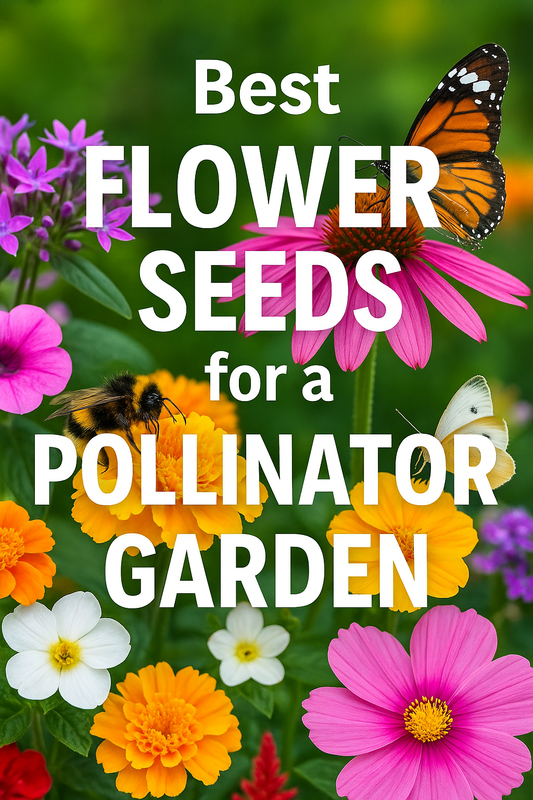 Bees and butterflies on colorful zinnias, cosmos, and marigolds in a summer pollinator garden