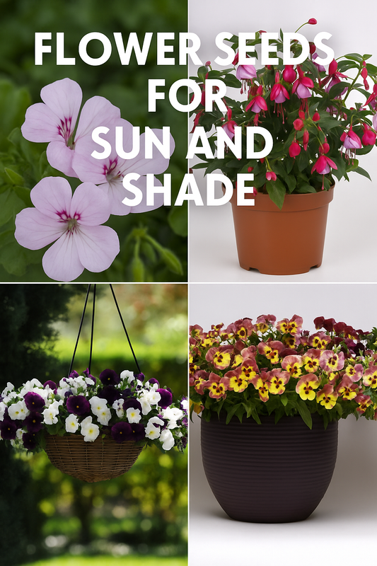 Bright and colorful hanging baskets filled with Wave Petunias, Ivy Geraniums, and Cool Wave Pansies — showcasing the best flower seeds for both sunny and shaded gardens.