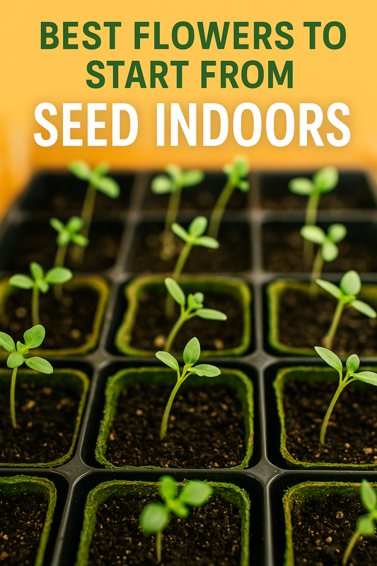 Seedlings sprouting in trays with text overlay “Best Flowers to Start from Seed Indoors.” Bright, eye-catching image for Pinterest and Facebook showcasing beginner-friendly indoor flower seed starting
