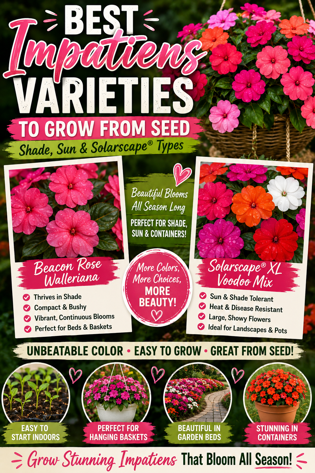 Colorful Beacon Rose Walleriana and Solarscape XL impatiens flowers growing in hanging baskets, containers, and garden beds, showcasing the best impatiens varieties to grow from seed for both shade and sunny landscapes.