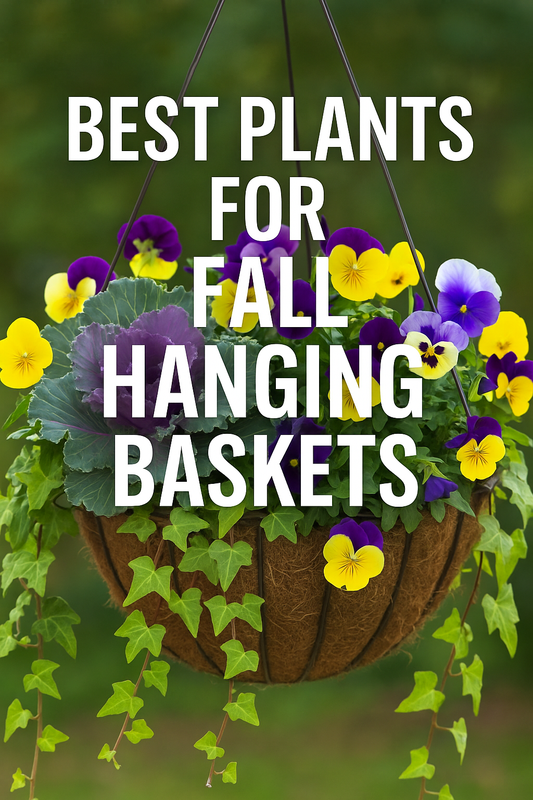 Fall hanging basket filled with trailing pansies, ornamental kale, and ivy, with text overlay reading “Best Plants for Fall Hanging Baskets