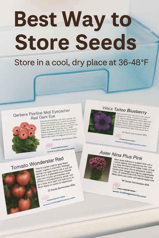 Trailing Petunia seed packets including Gerbera, Tomato, Vinca, and Aster stored in a cool, dry place at 36–48°F to maintain high germination rates