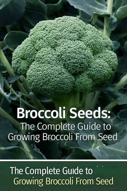 Broccoli growing on the plant for a vegetable garden seed guide