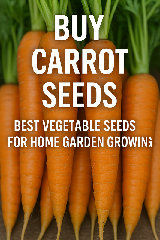 Fresh harvested orange carrots – best carrot seeds to grow in raised bed home gardens