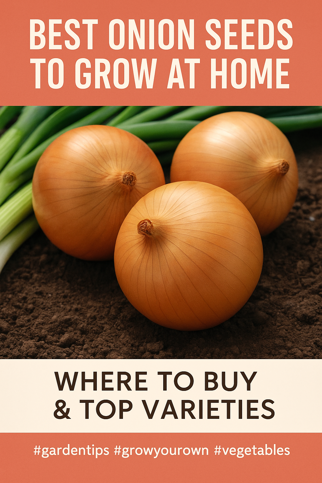 Fresh bunching onions – buy onion seeds for home vegetable gardens and raised beds