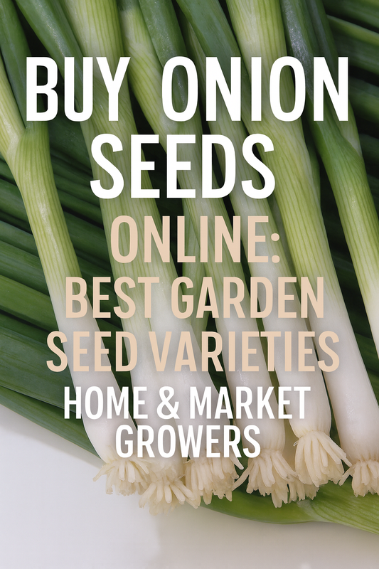 Fresh green bunching onions – best onion seeds for home and market gardeners