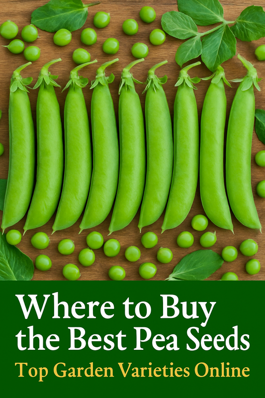 Fresh green pea pods arranged on rustic wood with text overlay reading Where to Buy the Best Pea Seeds.