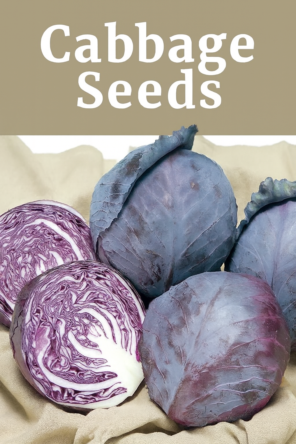 Purple cabbage heads and sliced cabbage for a complete guide on growing cabbage from seed and choosing the best garden seeds