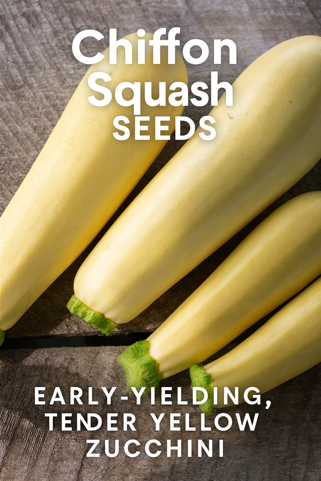 Tender yellow Chiffon squash with smooth skin and early, high yields.