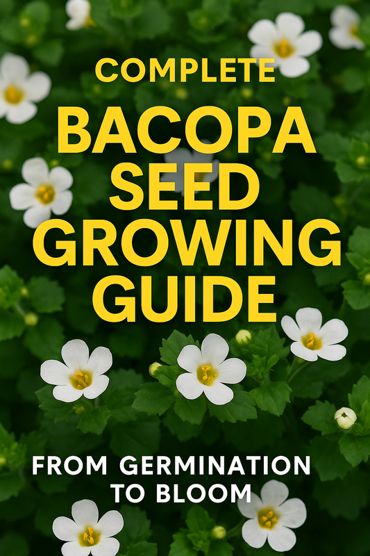 Bacopa flowers in full bloom with text overlay Complete Bacopa Seed Growing Guide From Germination to Bloom — white blossoms and green foliage for Pinterest and Facebook image