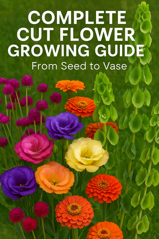 Lisianthus, Gomphrena, Zinnias, and Bells of Ireland in a colorful bouquet under sunlight — vibrant flowers grown from seed for long-lasting cut flower arrangements