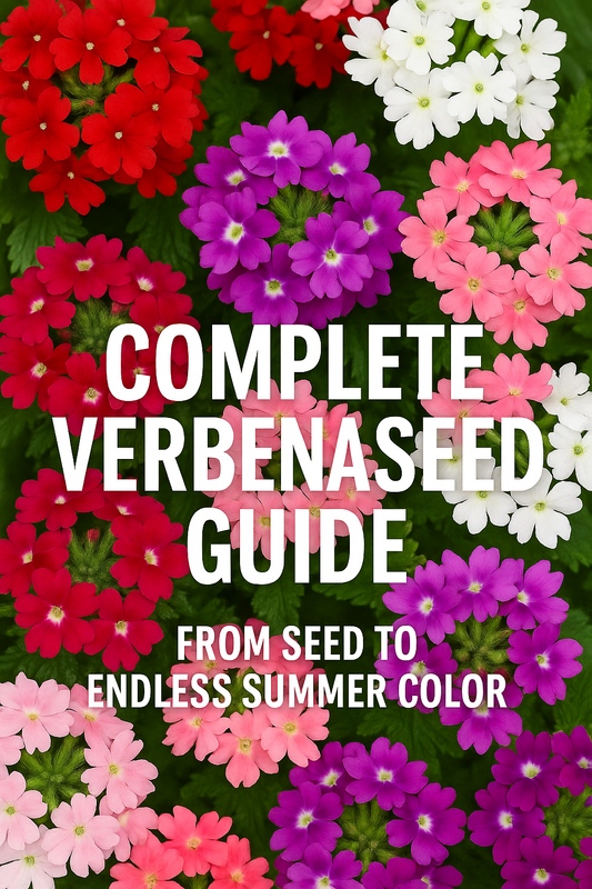 Colorful Verbena flowers in pink, purple, and red with text “Complete Verbena Seed Authority Guide