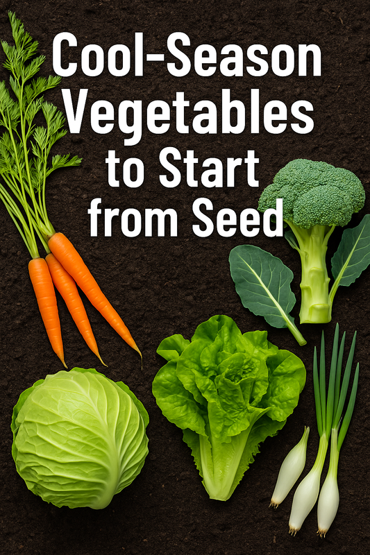 Cool-season vegetables like kale, cabbage, carrots, and broccoli growing in early spring sunlight — the best vegetables to start from seed for an early harvest