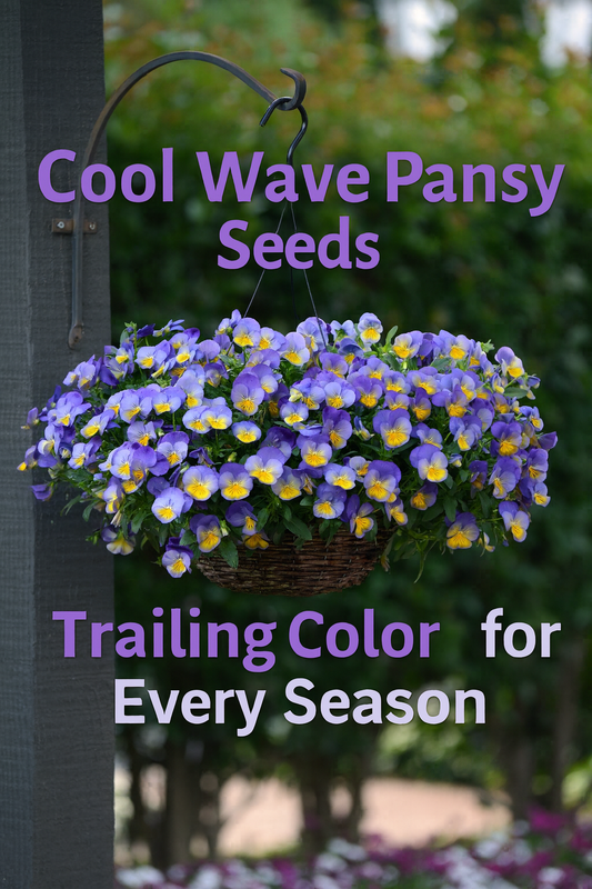 Cool Wave pansy flowers overflowing from a hanging basket with purple and yellow blooms, showing trailing color perfect for spring and fall gardens