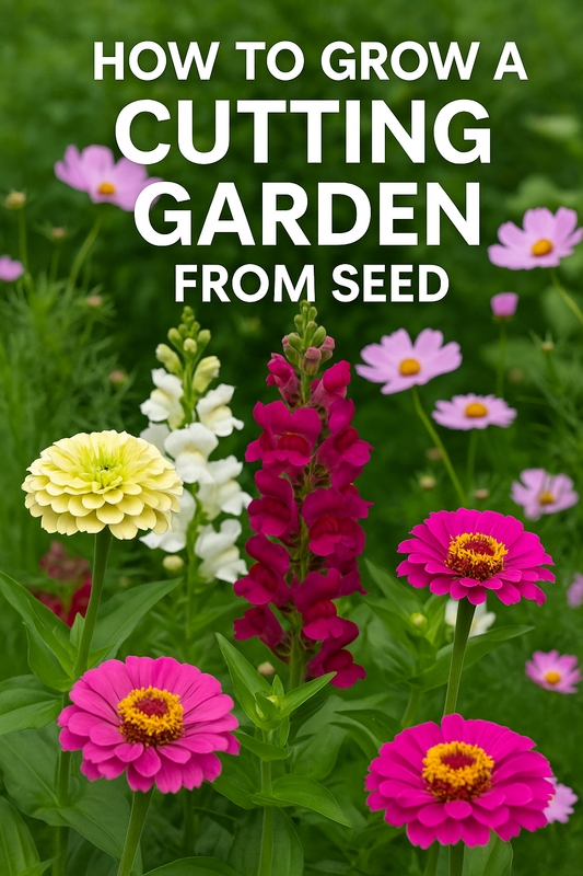 Cutting garden with zinnias, snapdragons, cosmos, and lisianthus in bloom