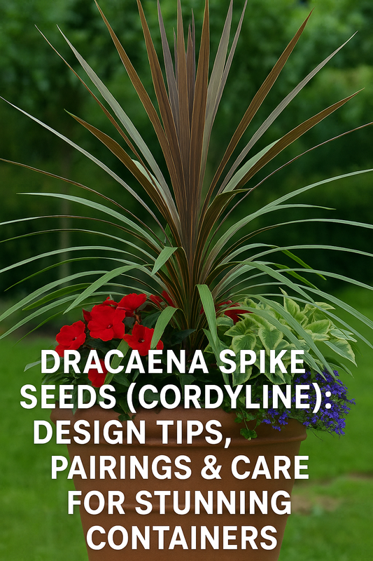 Dracaena Spike Cordyline plant in a container with colorful flowers, showing design pairings and care tips for stunning planters
