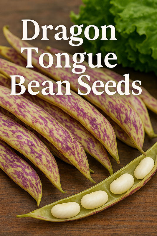 Dragon Tongue Bean Seeds on plant heirloom bush beans for home gardens