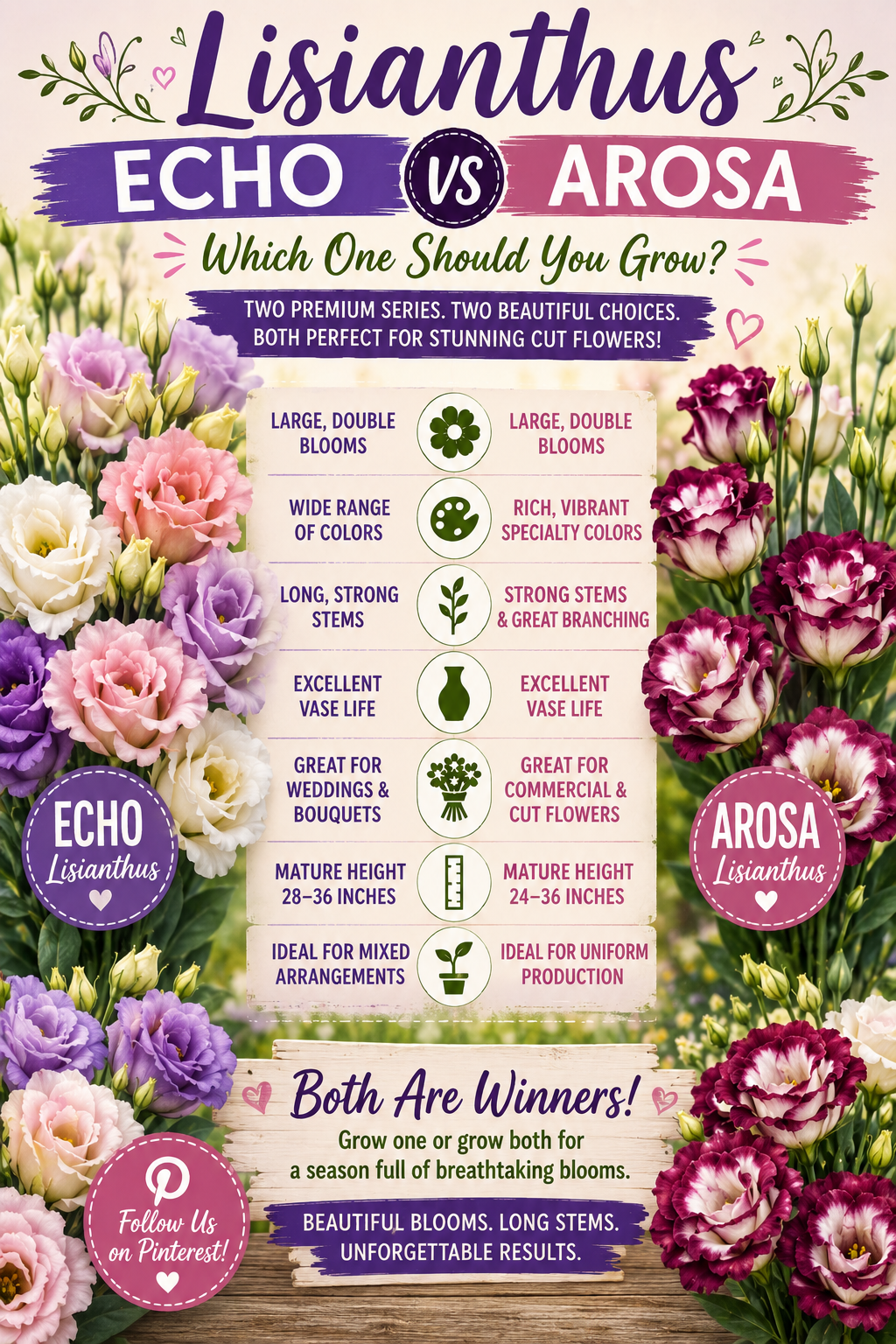 Echo vs Arosa Lisianthus comparison for cut flowers and home gardens.