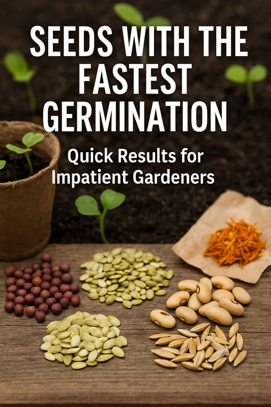 "Seeds with the fastest germination including radish, lettuce, beans, cucumbers, marigolds, zinnias, sunflowers, and cosmos sprouting quickly in soil – perfect for gardeners wanting quick results