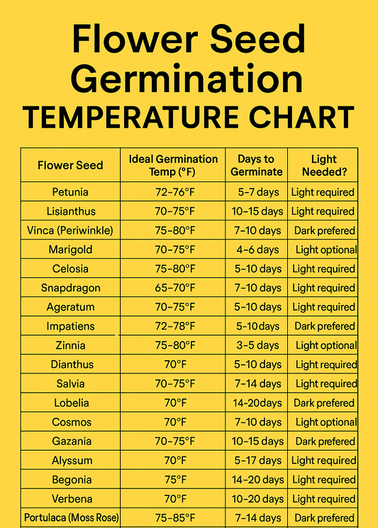 Bright infographic showing flower seed germination temperature chart with ideal temperatures, germination days, and light needs for popular flowers like petunia, lisianthus, vinca, marigold, celosia, and snapdragon