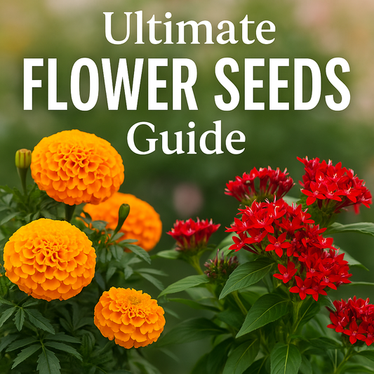 Bright flower garden with pink Pentas and golden African Marigolds in bloom – flower seeds growing guide