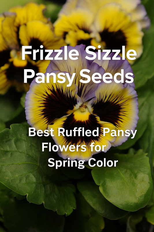 Yellow and purple ruffled Frizzle Sizzle pansy bloom with bold texture and the blog title overlay for spring pansy seeds.