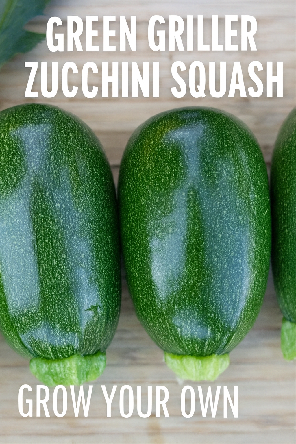 Green Griller zucchini squash with rich flavor and tender texture, perfect for grilling