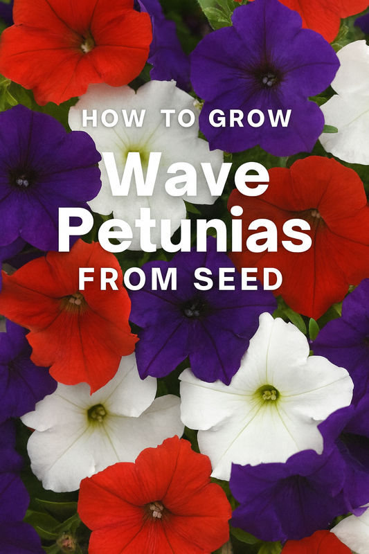 Vibrant red, white, and blue Wave Petunias in full bloom — Easy Wave and Wave Petunia seed mix used for baskets and garden beds.