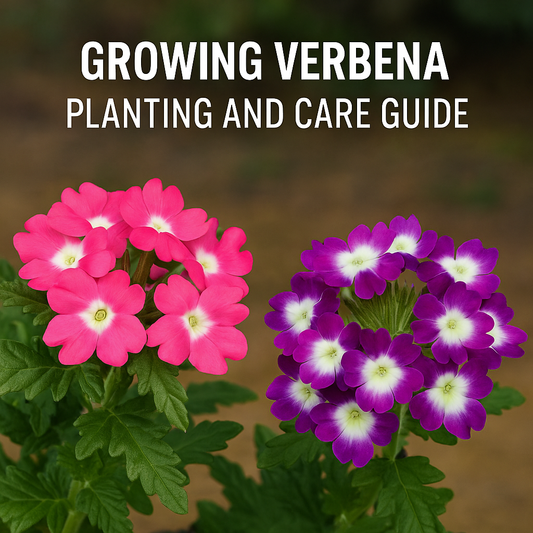 Why Won’t My Verbena Seeds Germinate? Top 7 Mistakes Gardeners Make (and How to Fix Them)