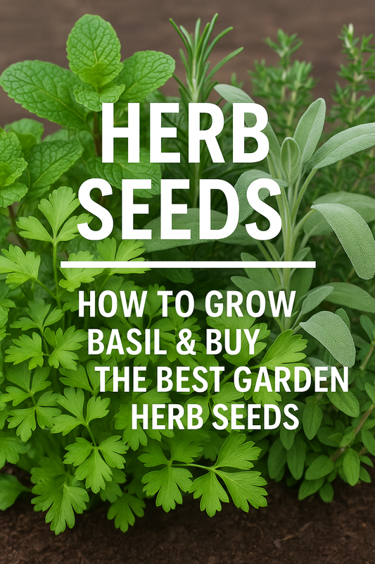 mixed garden herbs growing from seed