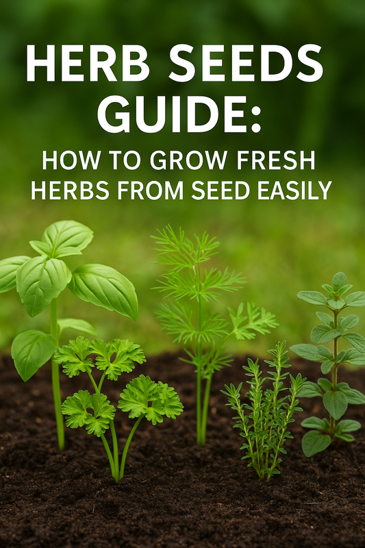 Fresh herb seeds growing guide with basil, dill, parsley, thyme, and oregano in a lush garden setting.