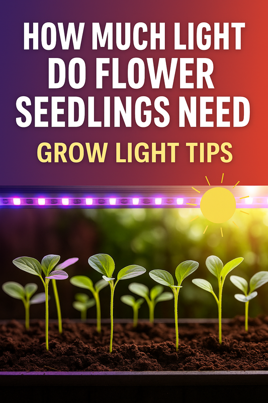 flower seedlings under LED grow lights with bright blooms