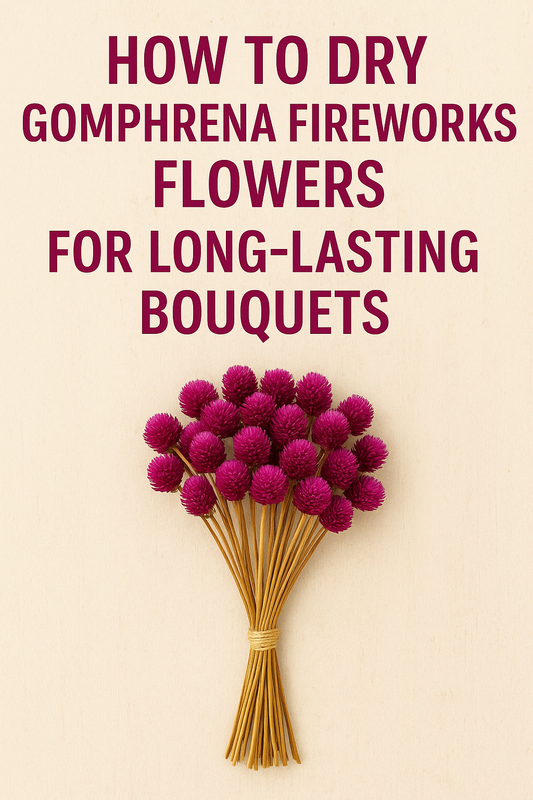 Dried Gomphrena Fireworks flowers tied in a bouquet with vivid magenta blooms, perfect for long-lasting dried flower arrangements and everlasting bouquets